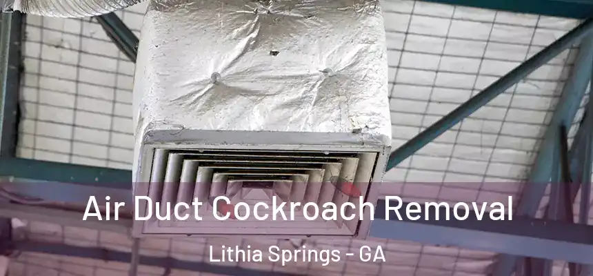 Air Duct Cockroach Removal Lithia Springs - GA
