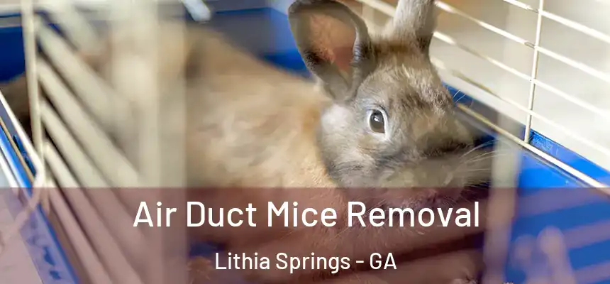 Air Duct Mice Removal Lithia Springs - GA