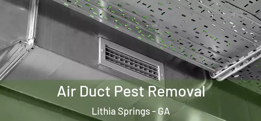  Air Duct Pest Removal Lithia Springs - GA