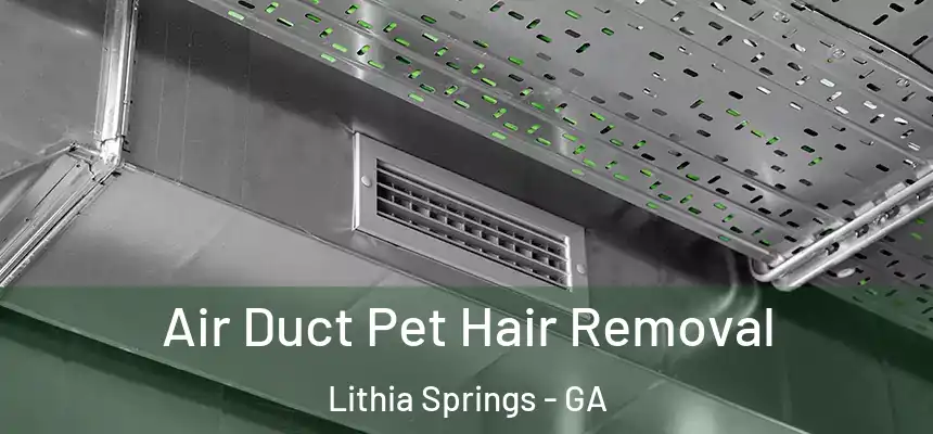  Air Duct Pet Hair Removal Lithia Springs - GA