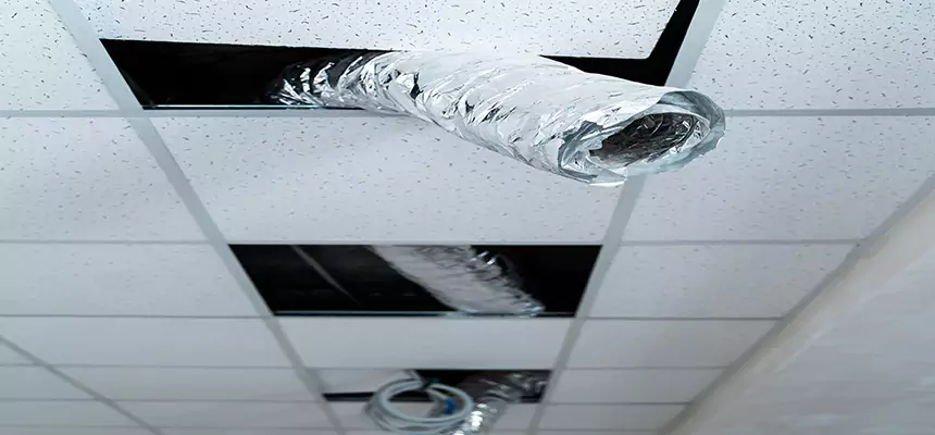 Our Air Duct Pet Hair Removal Services in Lithia Springs, GA