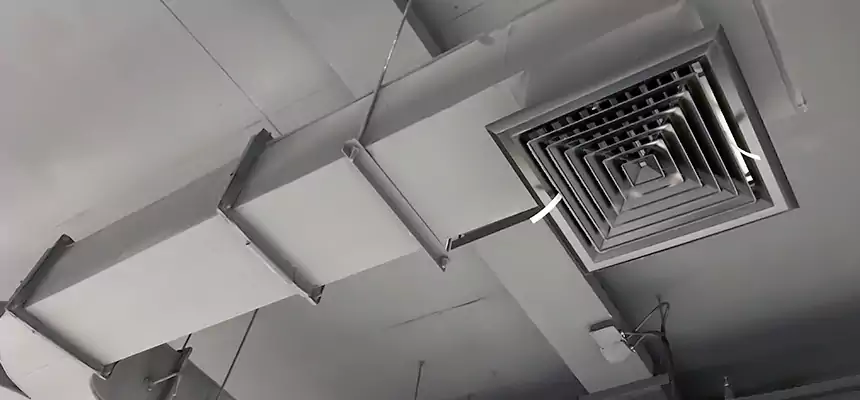 Restorative Allergy Relief Vent Cleaning – Coil, Blower & Housing Detail in Lithia Springs