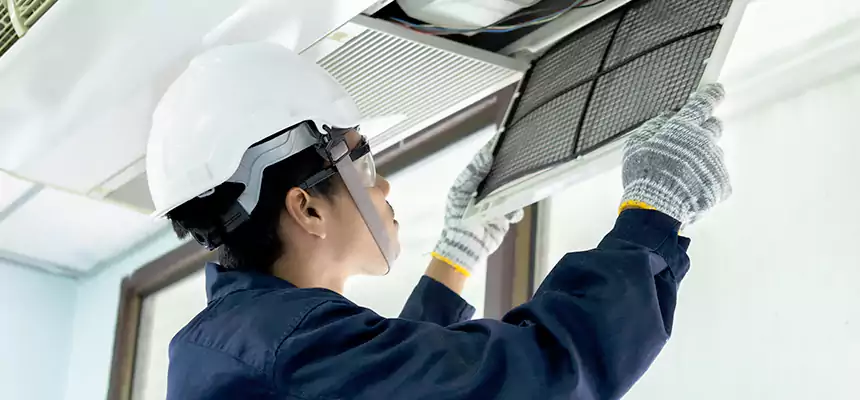 Our Mold & Mildew Removal from Air Ducts Services in Lithia Springs, GA