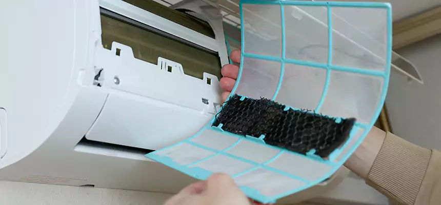 Gentle Ductwork Odor-Control Pet Dander Duct Cleaning in Lithia Springs, GA