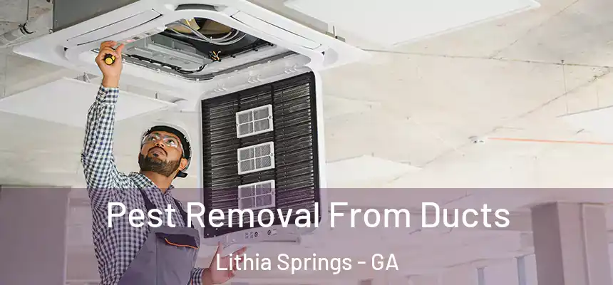 Pest Removal From Ducts Lithia Springs - GA