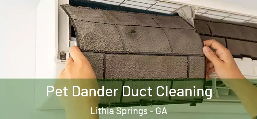  Pet Dander Duct Cleaning Lithia Springs - GA