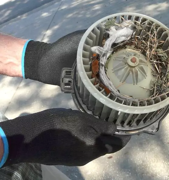 About Air Duct Mice Removal in Lithia Springs, GA