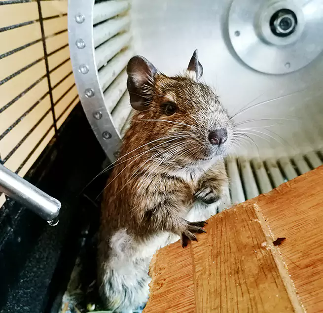 Why Homeowners & Businesses Trust Us Lithia Springs, GA?